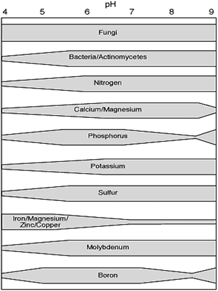 Soil Ph Level Chart