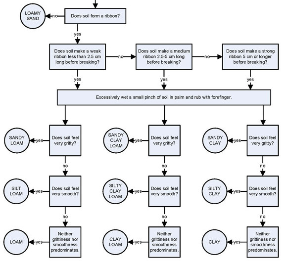 Soil Ribbon Test Chart