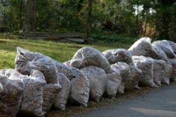 bags of leaves