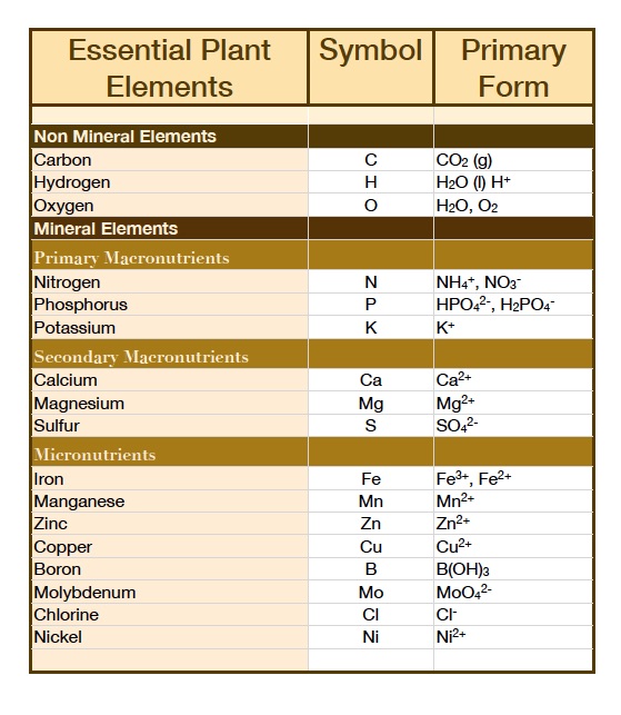 Essential Plant Nutrient chart in ionic form