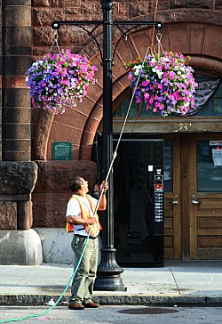 Watering flower baskets